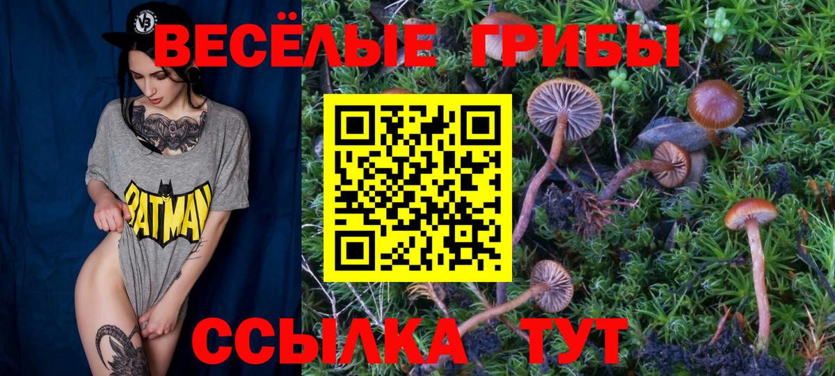 Псилоцибиновые грибы прущие грибы Аксай