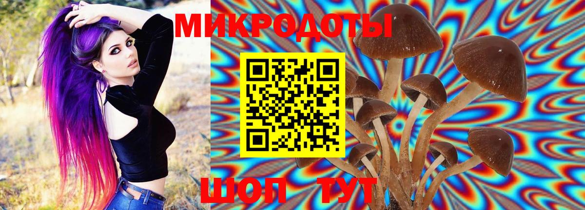 купить закладку  Галлюциногенные грибы GOLDEN TEACHER  Псилоцибиновые грибы прущие грибы  Вход с VPN  Аксай 